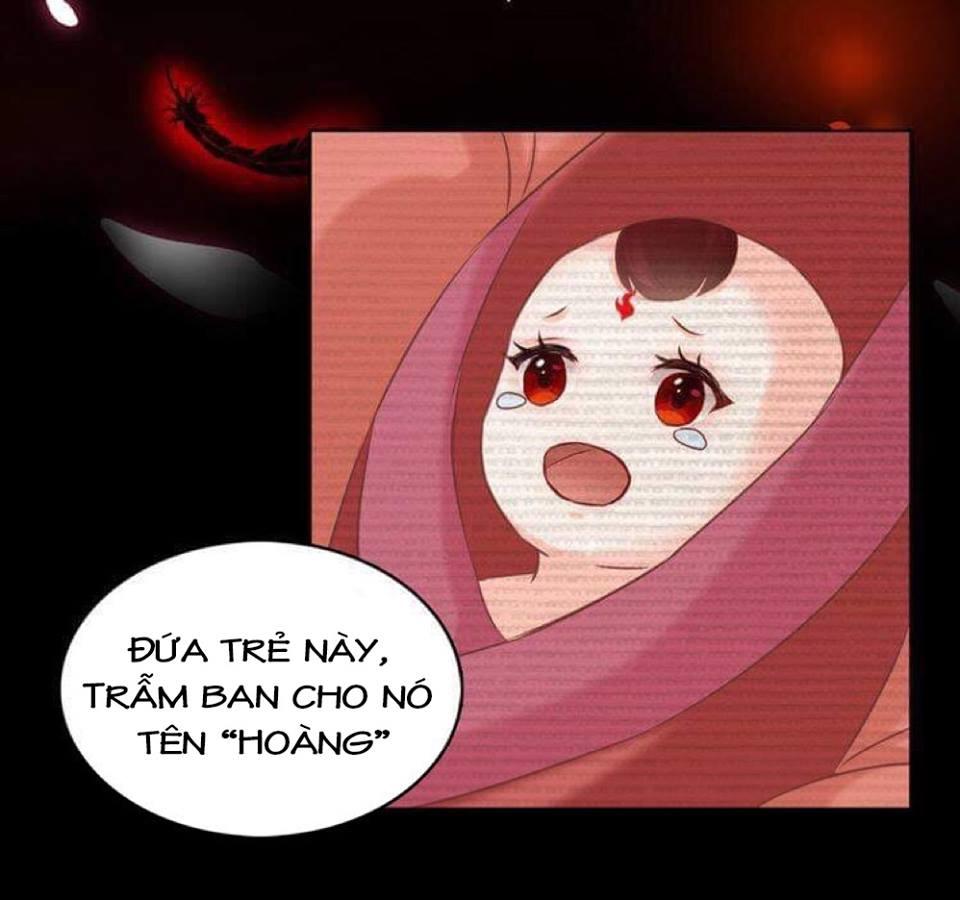 Phượng Hoàng - Chapter 0