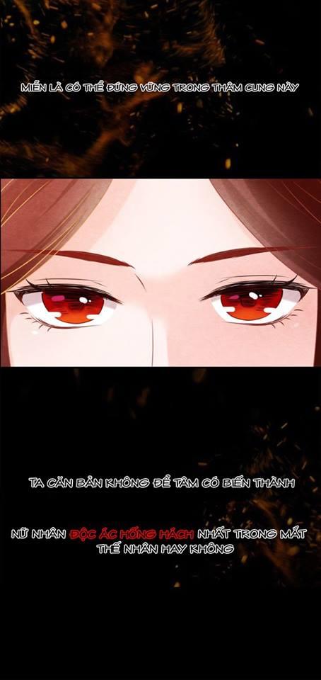 Phượng Hoàng - Chapter 0