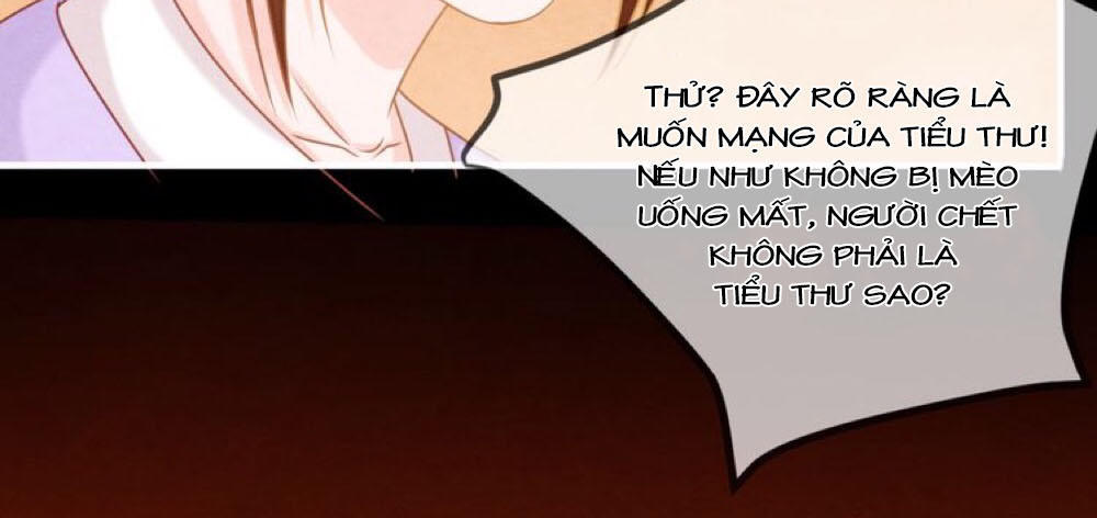 Phượng Hoàng - Chapter 4