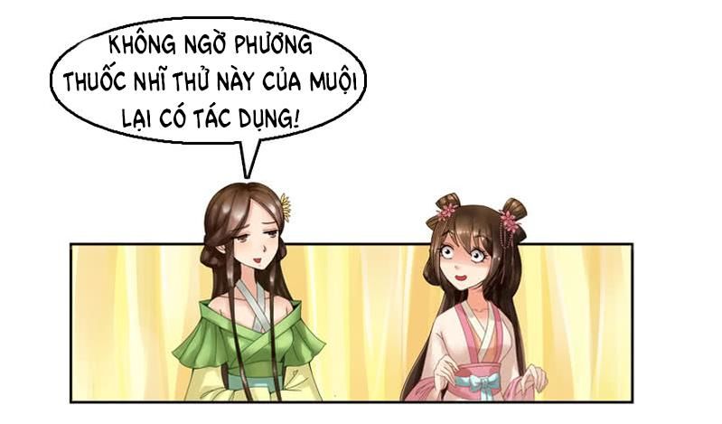 Phượng Hoàng - Chapter 5