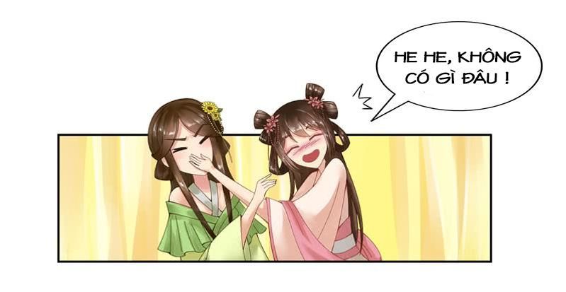 Phượng Hoàng - Chapter 5