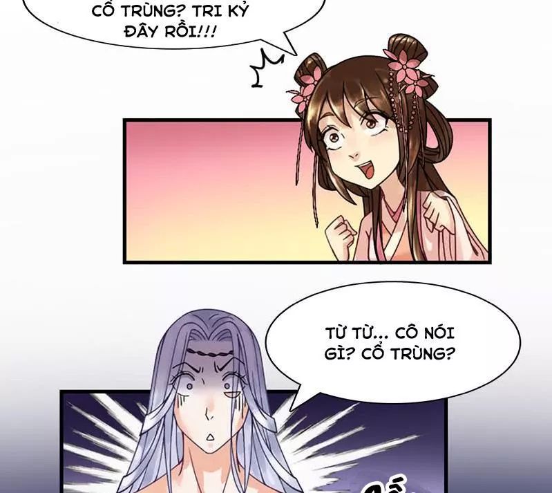 Phượng Hoàng - Chapter 7