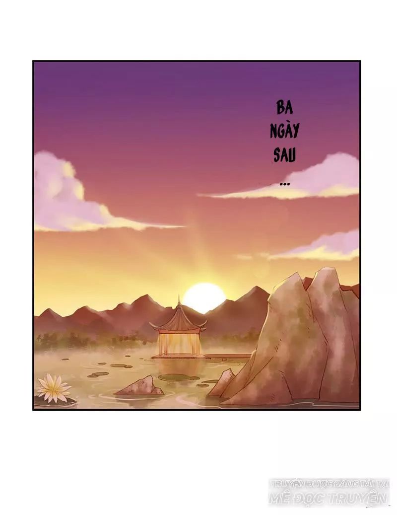 Phượng Hoàng - Chapter 8