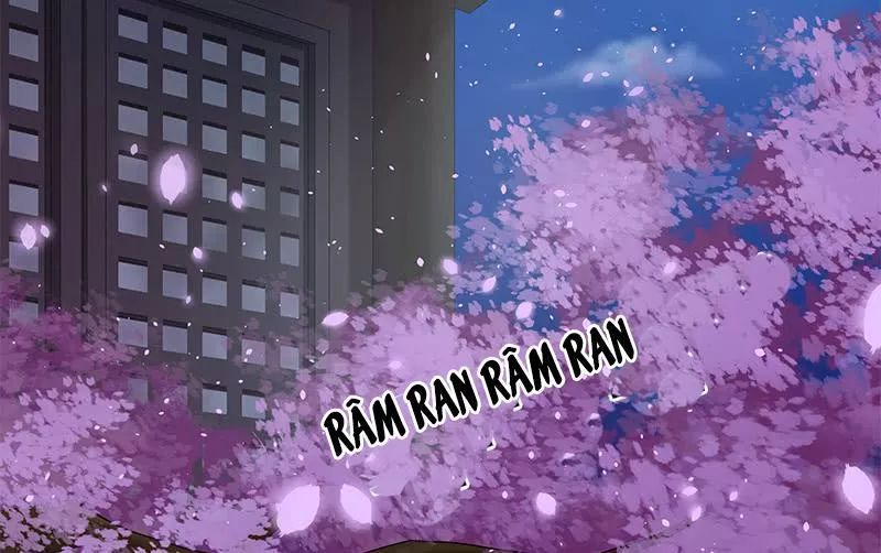 Phượng Hoàng - Chapter 8