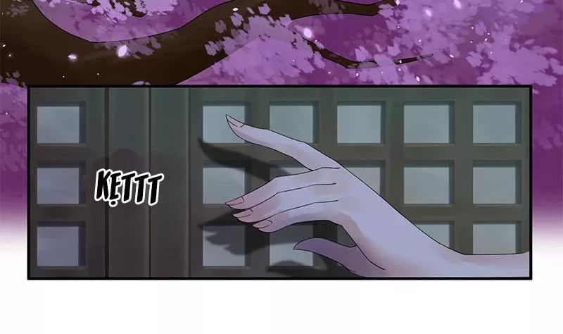 Phượng Hoàng - Chapter 8