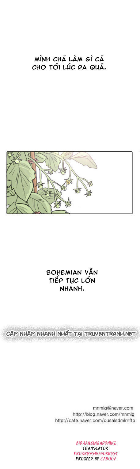 Ties Of Compassion - Chapter 32