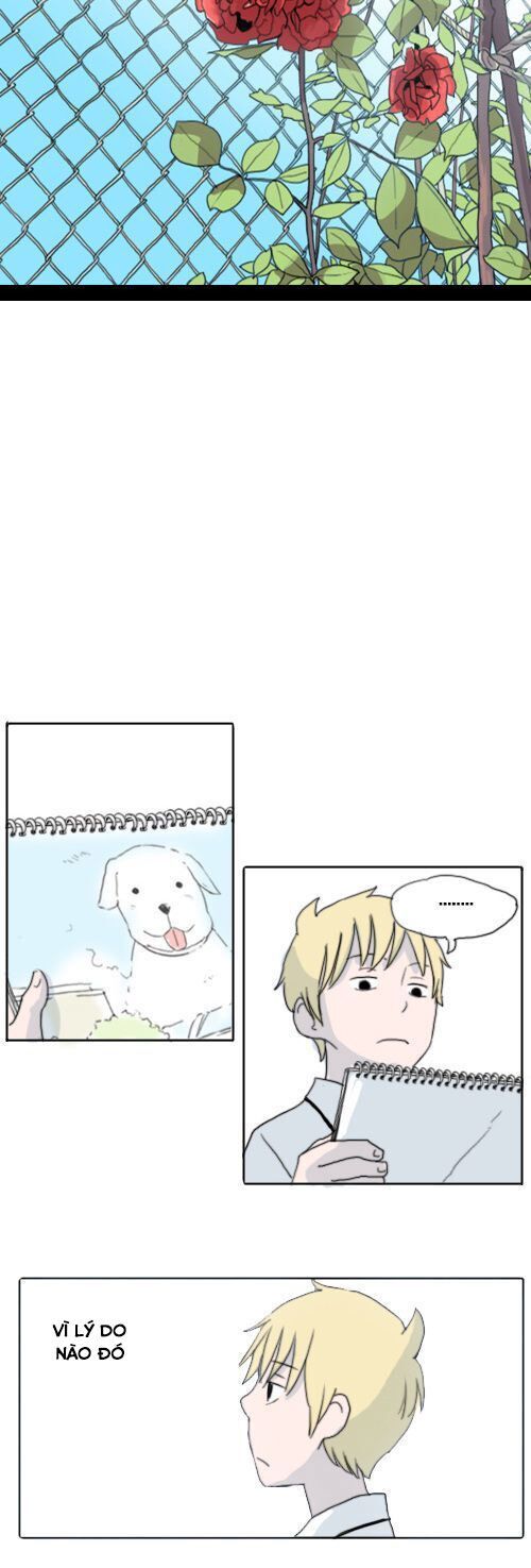 Ties Of Compassion - Chapter 52
