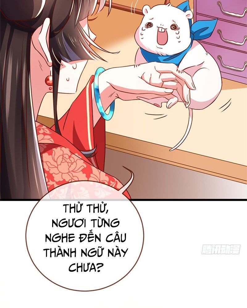 Triều Hoàng Cặn Bã - Chapter 4