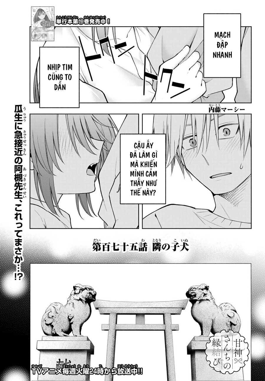 Kết Duyên Nhà Kamigami - Chapter 175