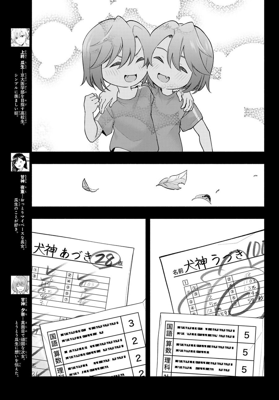 Kết Duyên Nhà Kamigami - Chapter 175