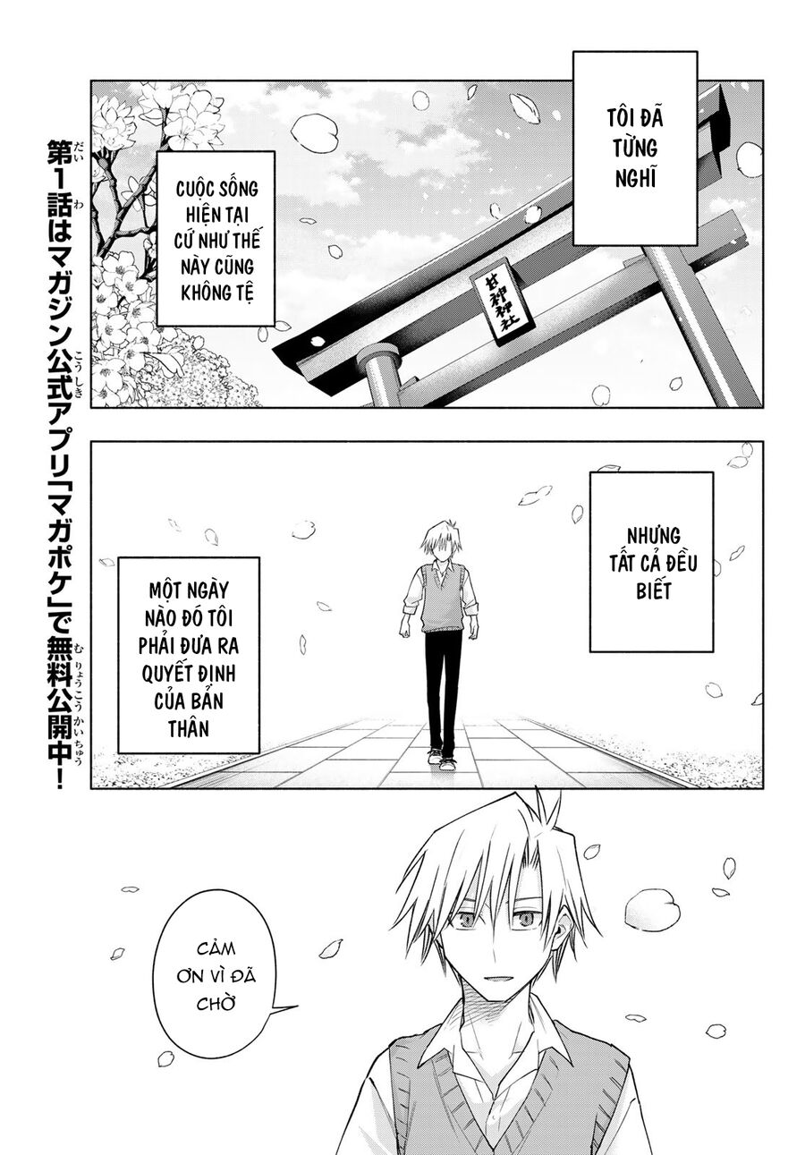 Kết Duyên Nhà Kamigami - Chapter 176