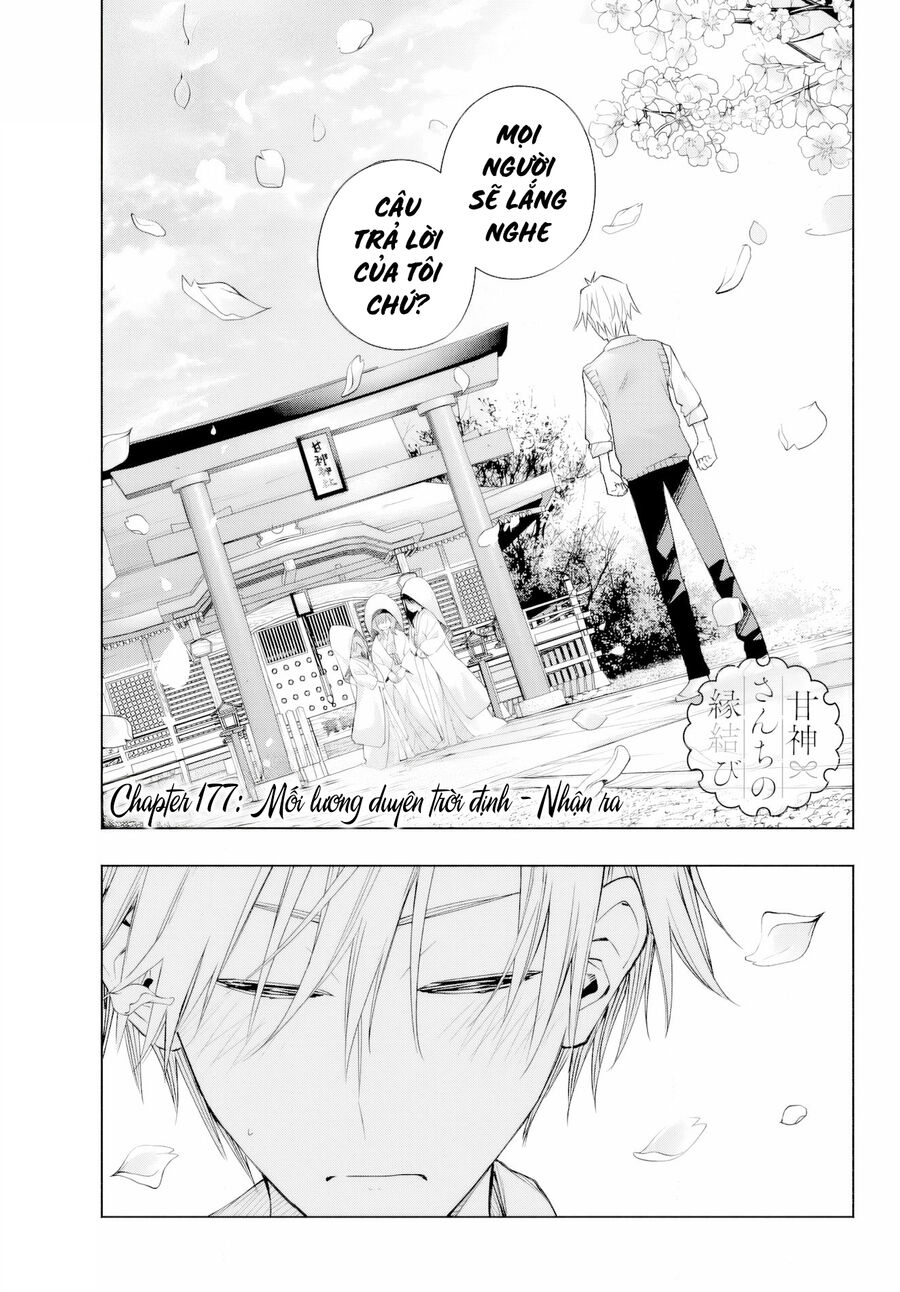 Kết Duyên Nhà Kamigami - Chapter 177