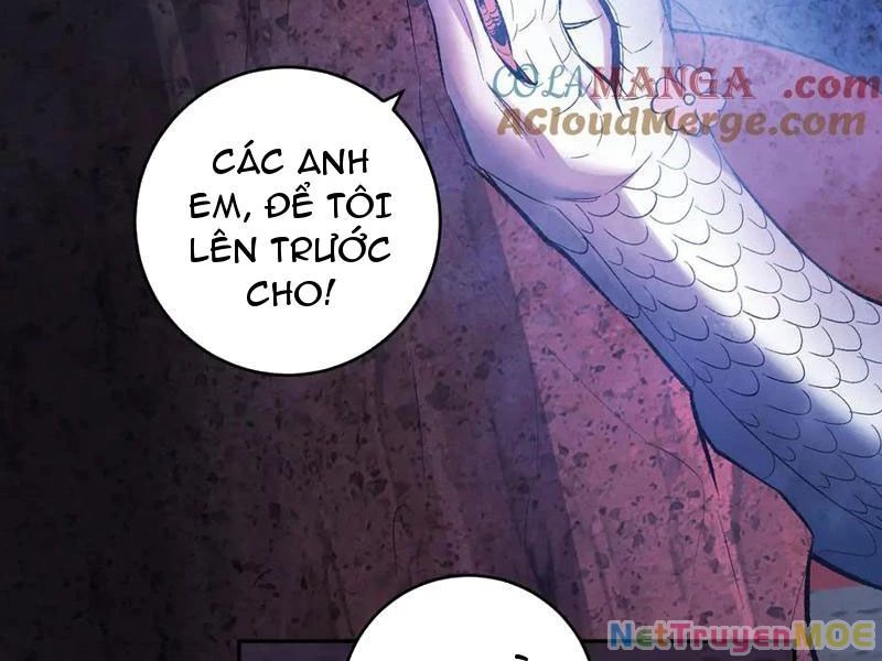 Mạt Nhật Thiên Hạ: Ta, Virus Quân Vương - Chapter 57