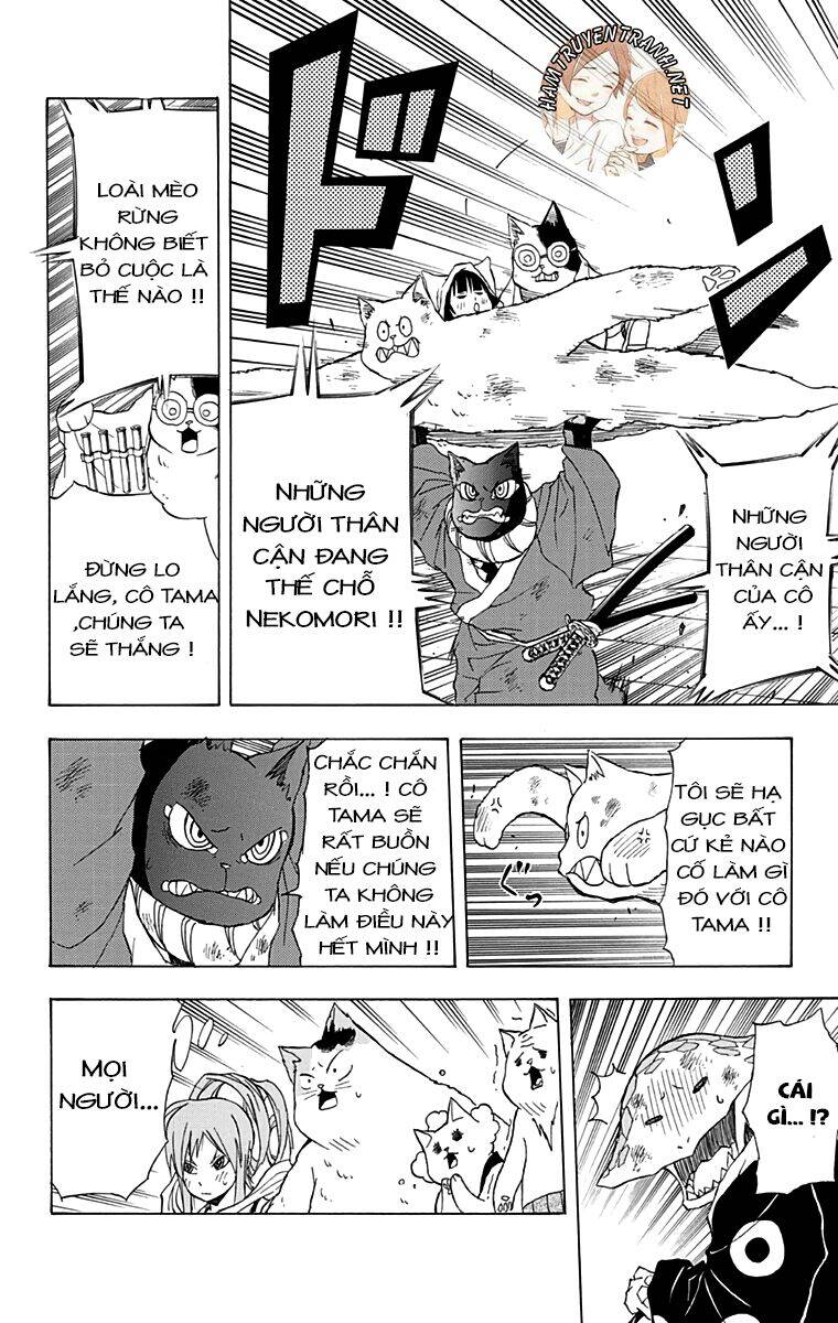 Nekowappa! - Chapter 12