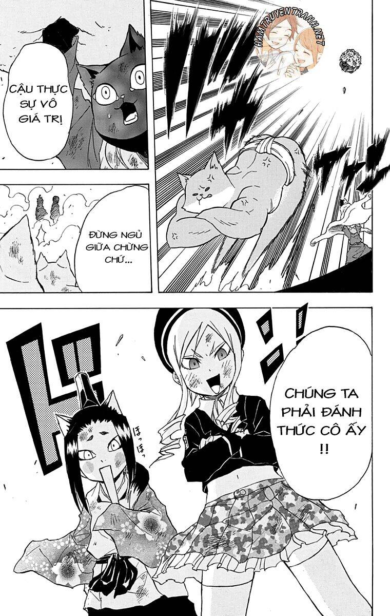 Nekowappa! - Chapter 12