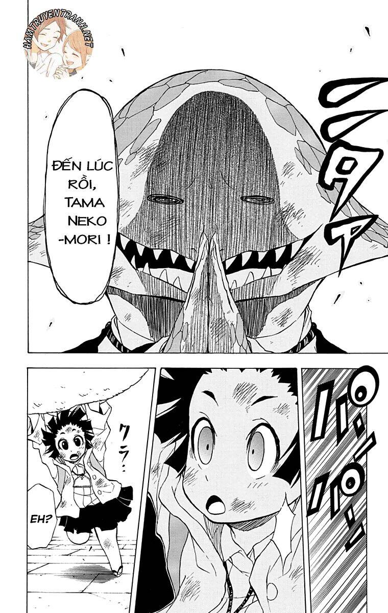 Nekowappa! - Chapter 12