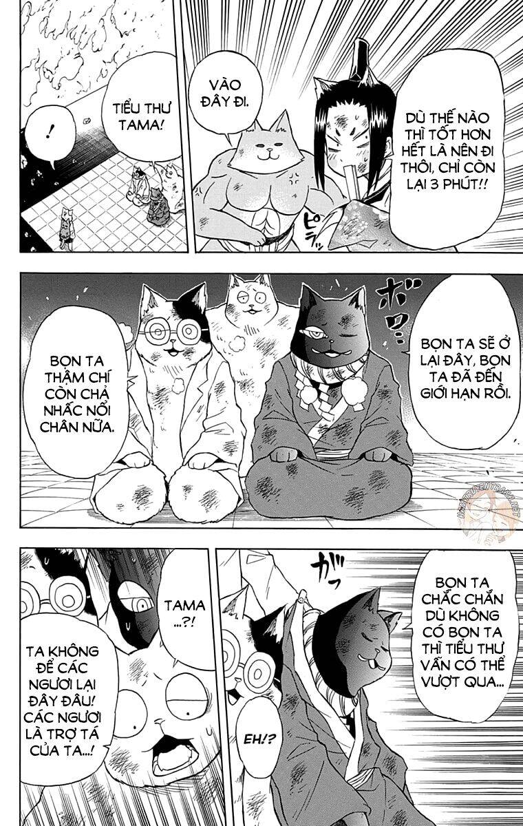 Nekowappa! - Chapter 13