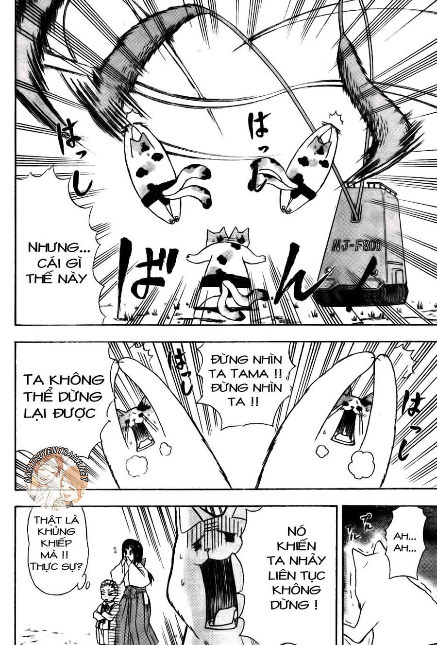 Nekowappa! - Chapter 7