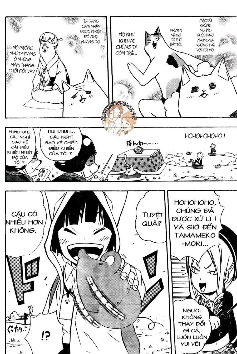 Nekowappa! - Chapter 7
