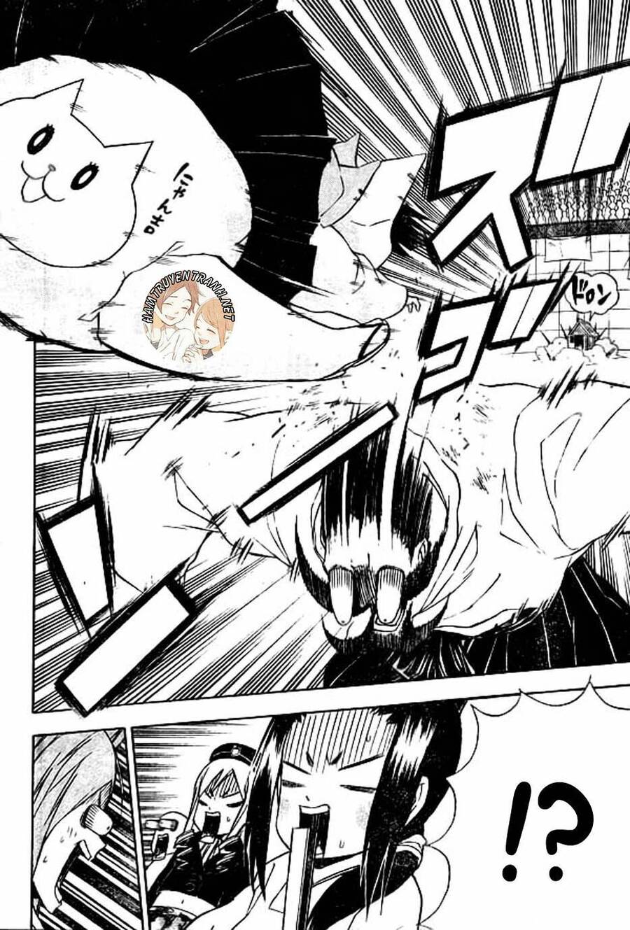 Nekowappa! - Chapter 8