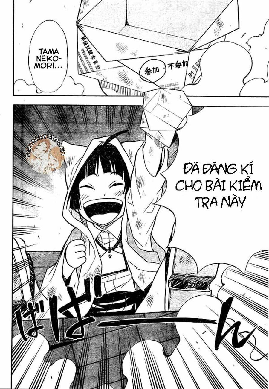 Nekowappa! - Chapter 8