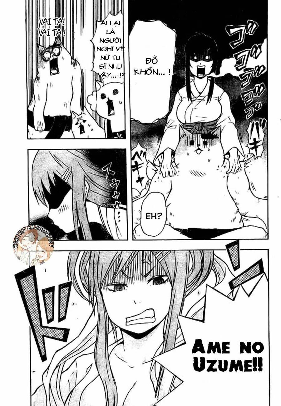 Nekowappa! - Chapter 8