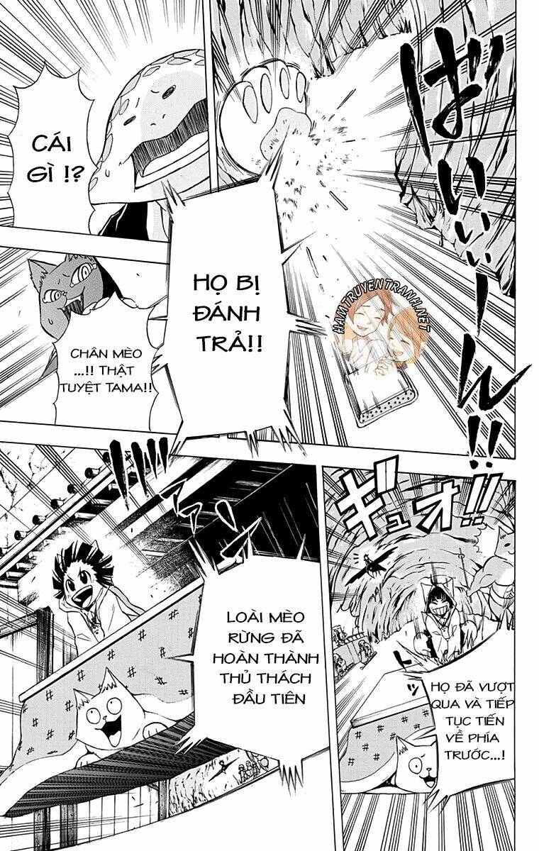 Nekowappa! - Chapter 9