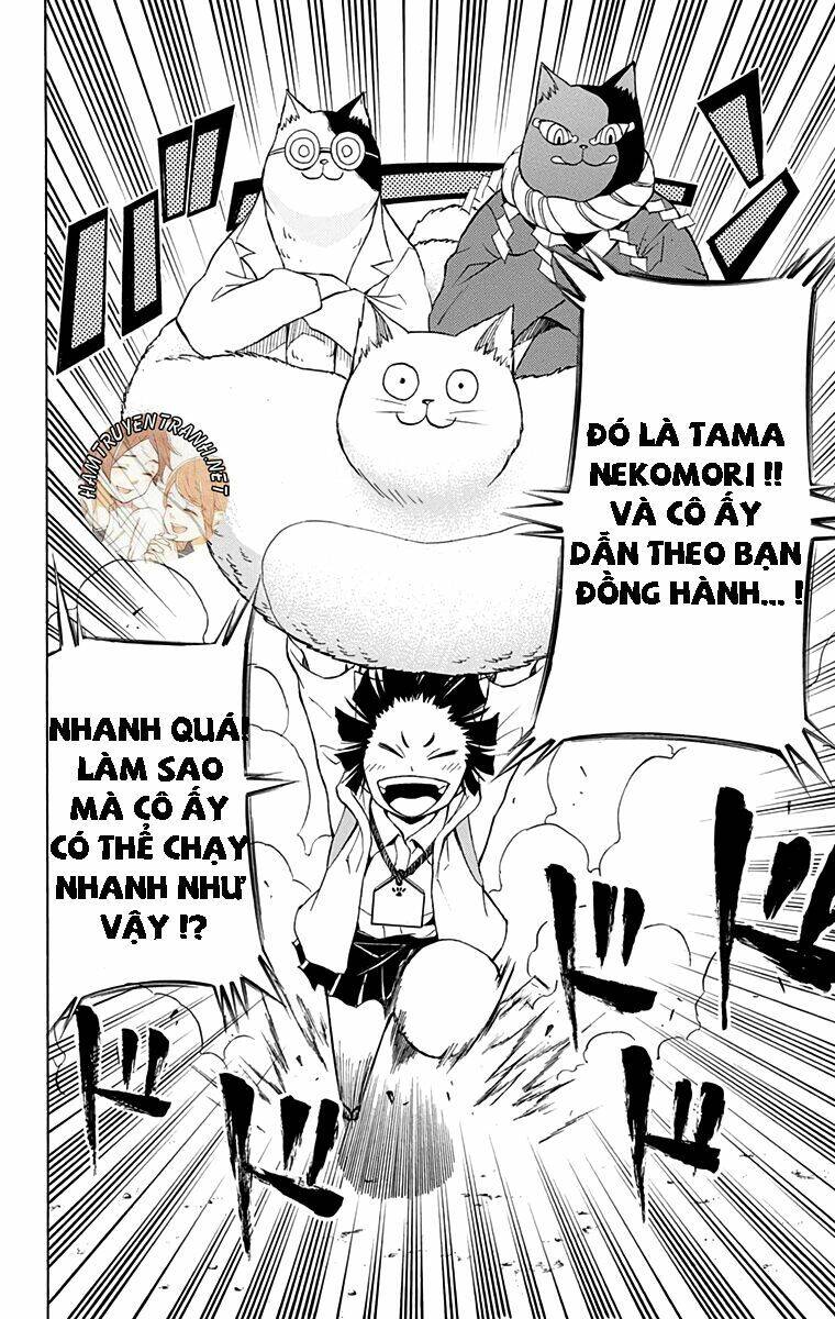 Nekowappa! - Chapter 9