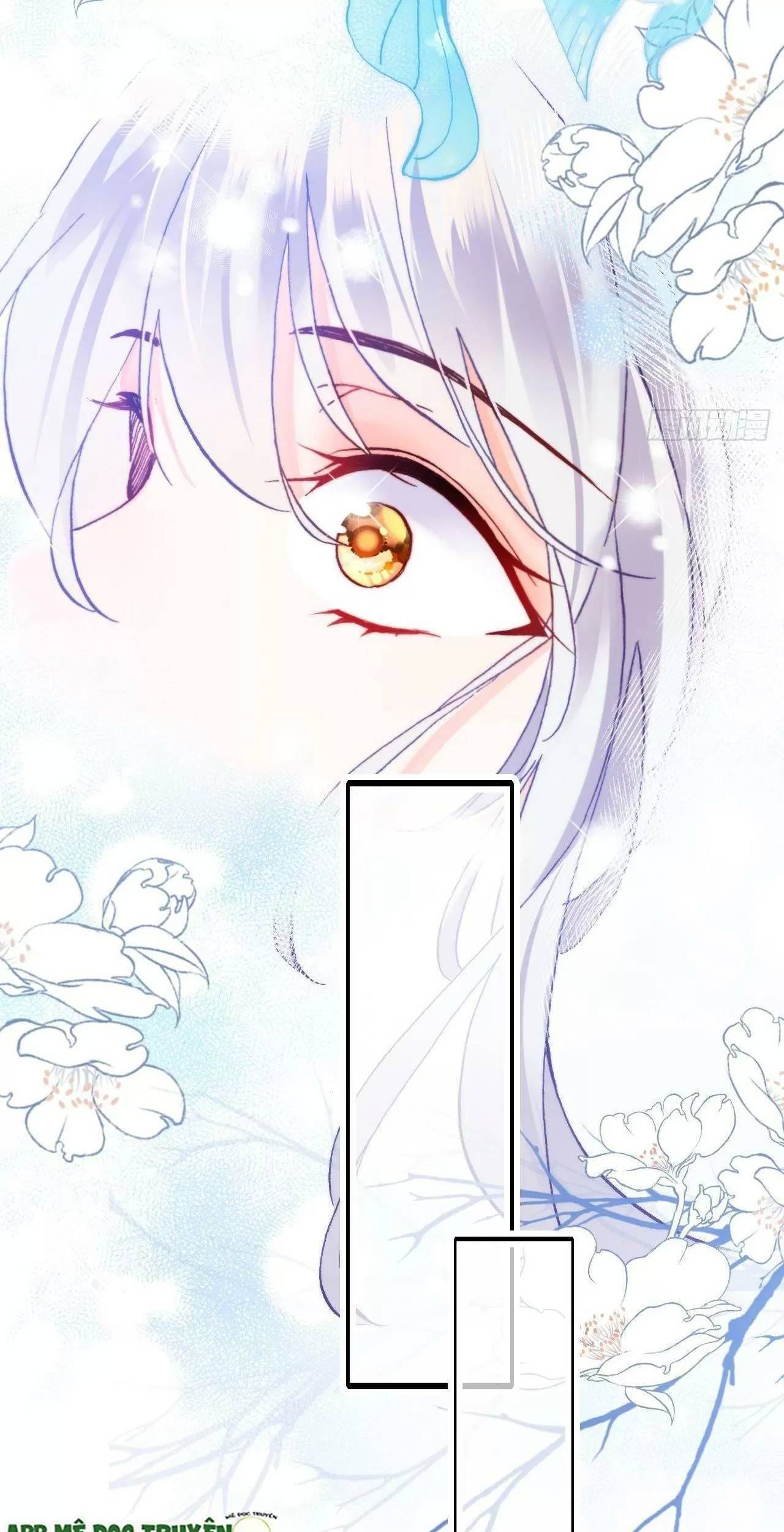 Lại Bị Bệnh Chiều Chuộng Quấn Lấy - Chapter 79