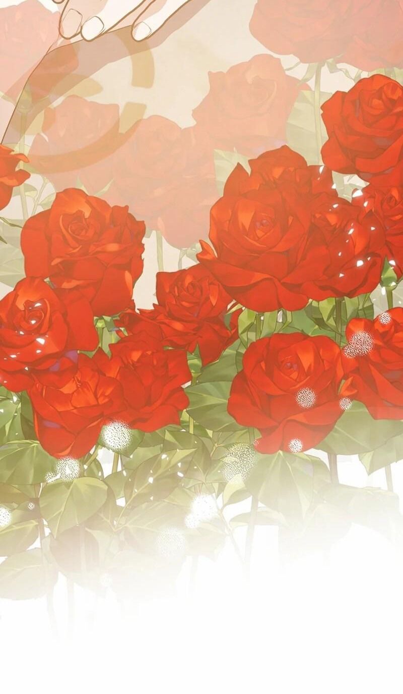 Tình Yêu Hỡi, Sao Người Lại Hối Hận Rồi? - Chapter 29