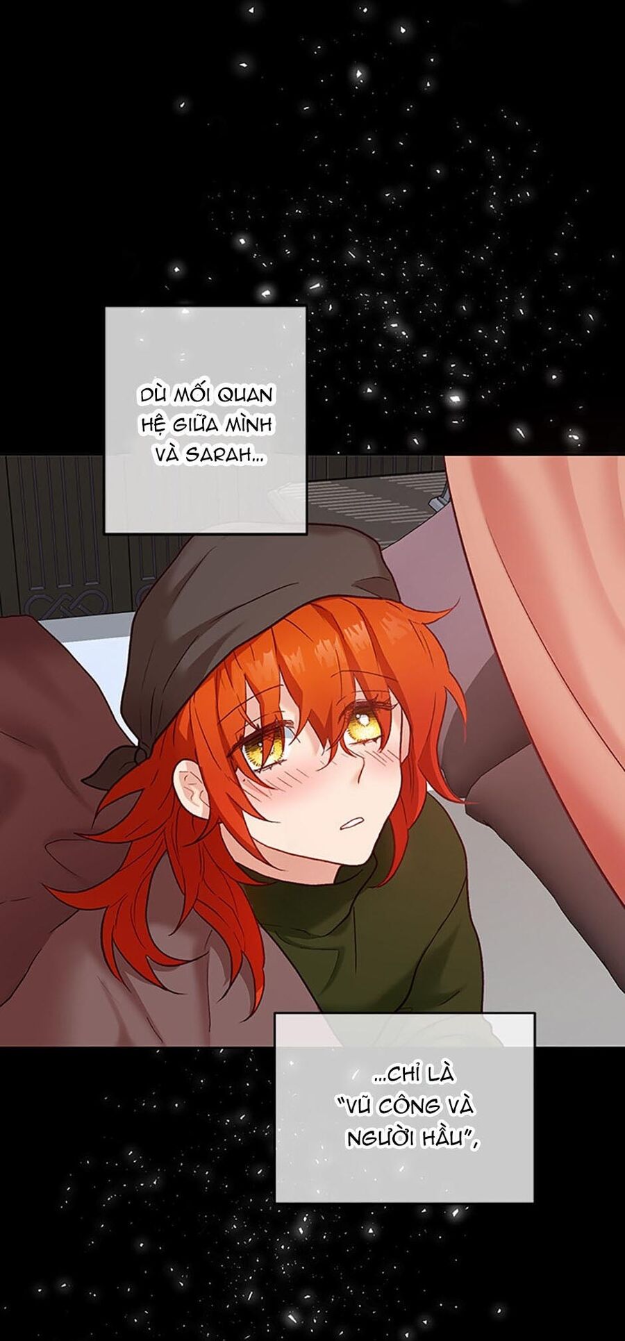 Cuộc Sống Xa Hoa Của Cô Nhân Tình Giả - Chapter 19