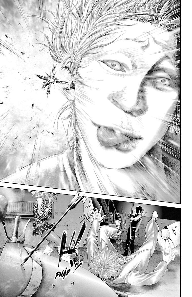 Kiến Vua - Chapter 1