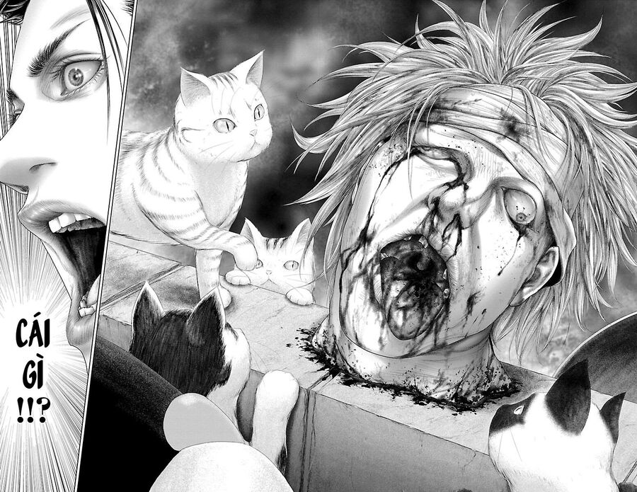 Kiến Vua - Chapter 1
