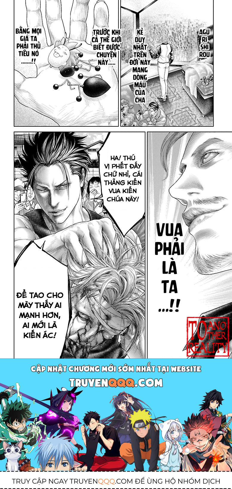 Kiến Vua - Chapter 1