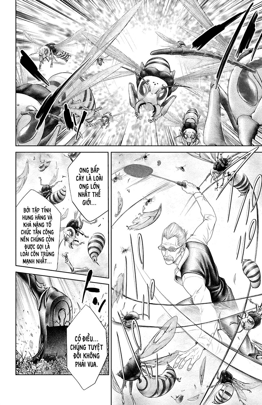 Kiến Vua - Chapter 5