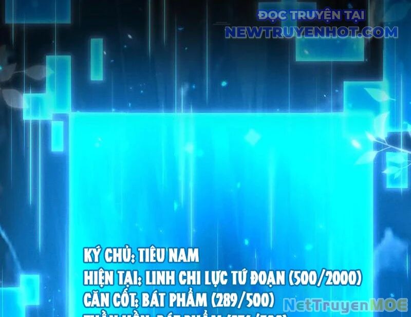 Các Nữ Sư Tôn Đều Muốn Chiếm Hữu Ta - Chapter 9