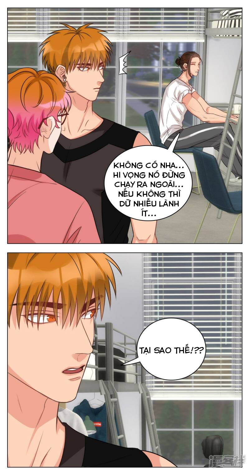 Ký Túc Xá Nam Phòng 303 - Chapter 18