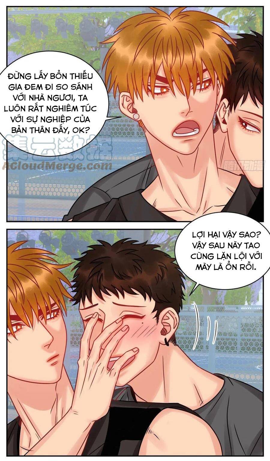 Ký Túc Xá Nam Phòng 303 - Chapter 184