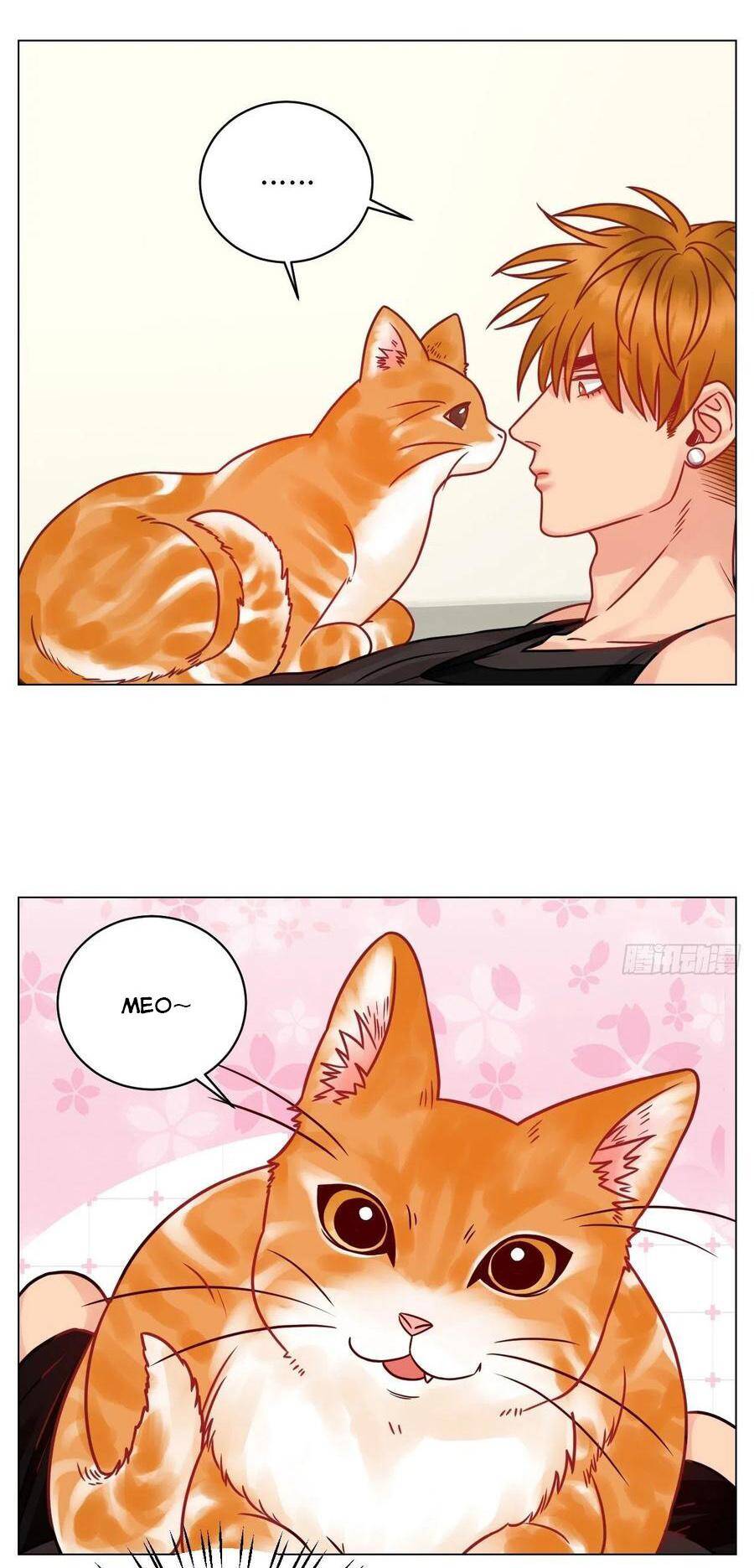 Ký Túc Xá Nam Phòng 303 - Chapter 189