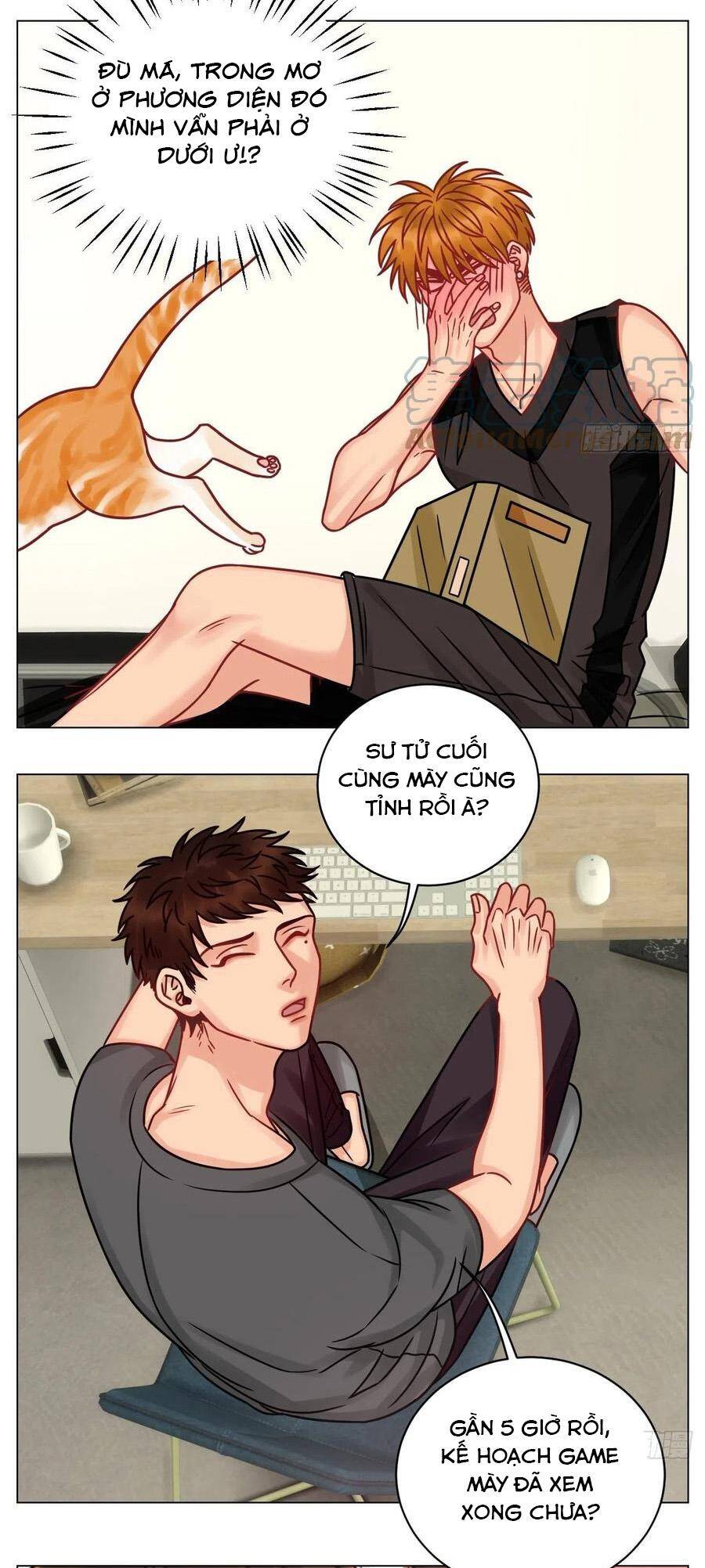 Ký Túc Xá Nam Phòng 303 - Chapter 189