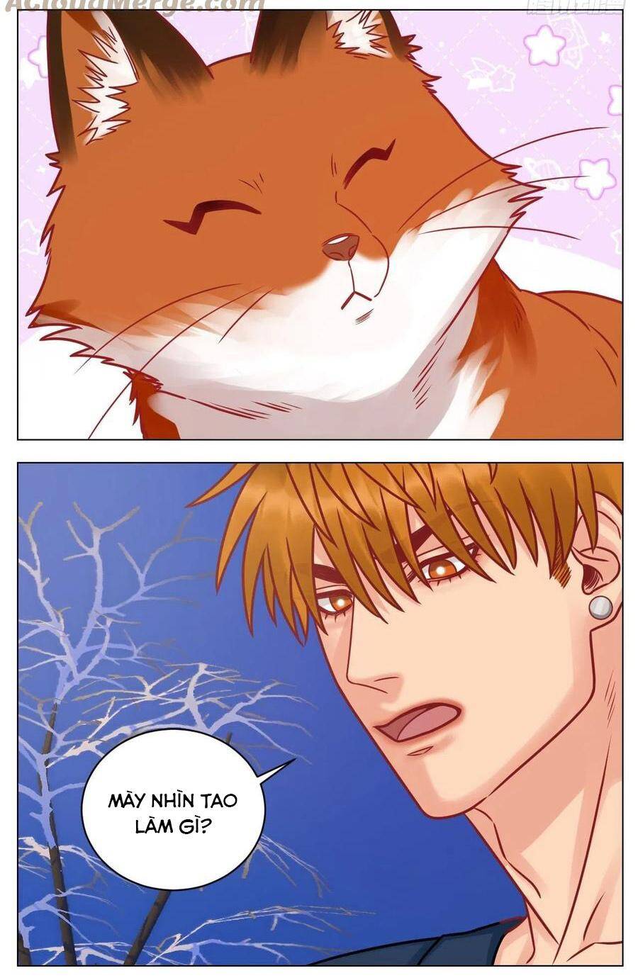 Ký Túc Xá Nam Phòng 303 - Chapter 189