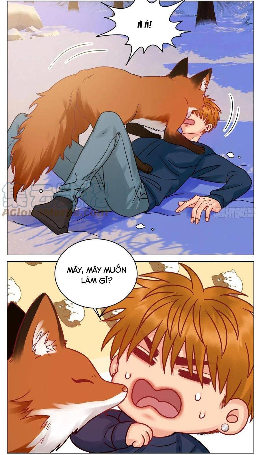 Ký Túc Xá Nam Phòng 303 - Chapter 189