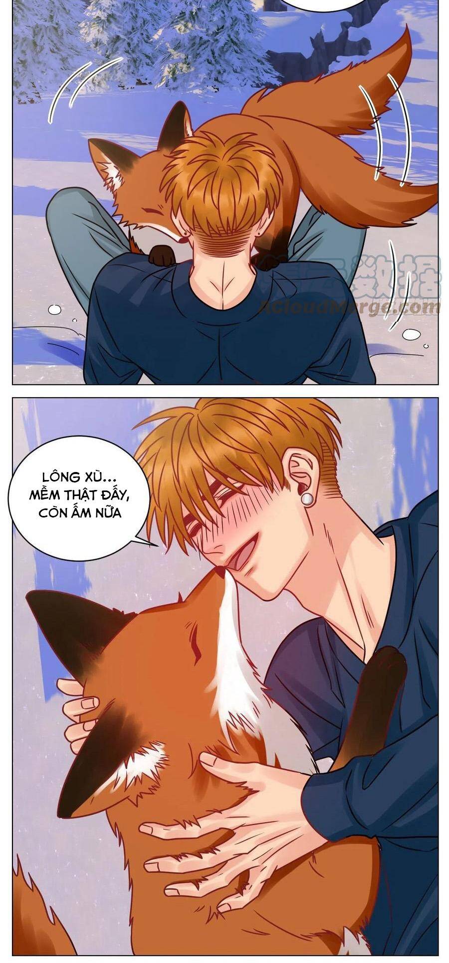Ký Túc Xá Nam Phòng 303 - Chapter 189