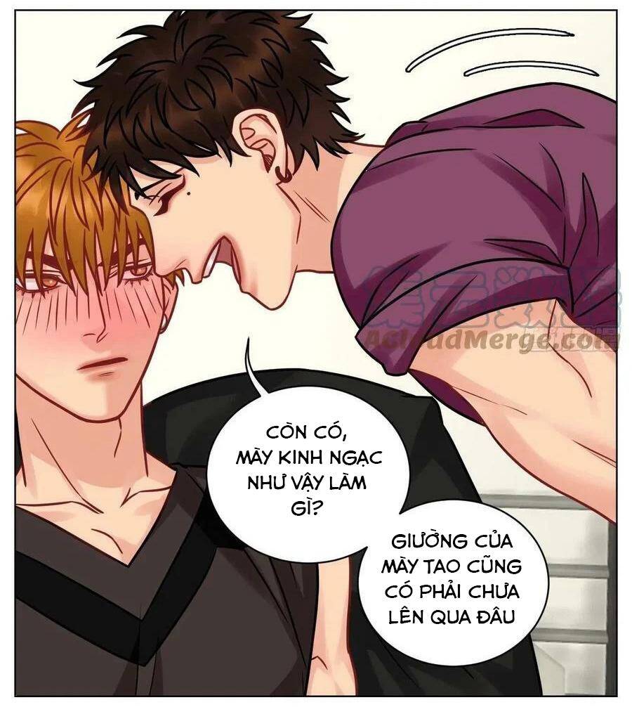 Ký Túc Xá Nam Phòng 303 - Chapter 191