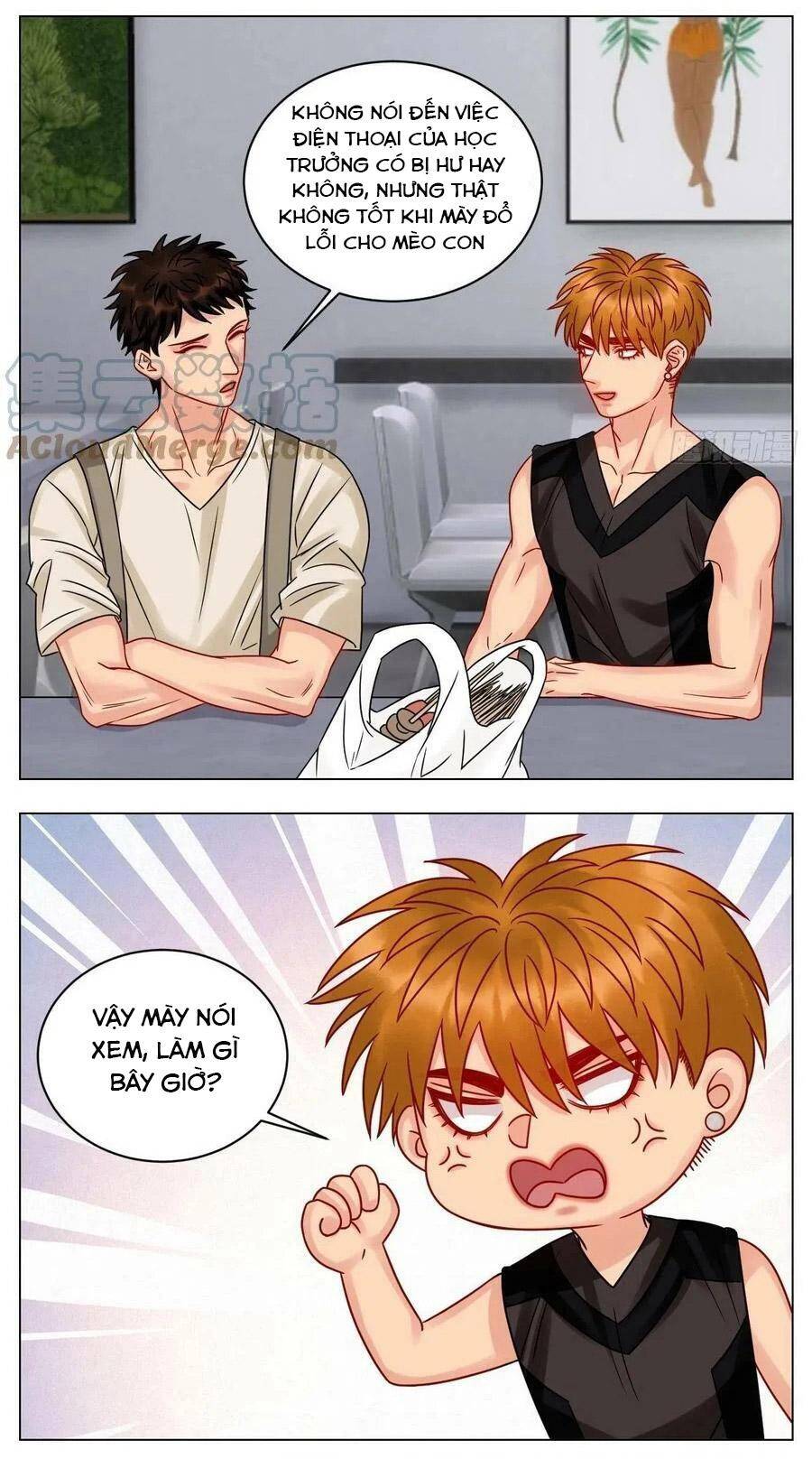 Ký Túc Xá Nam Phòng 303 - Chapter 196