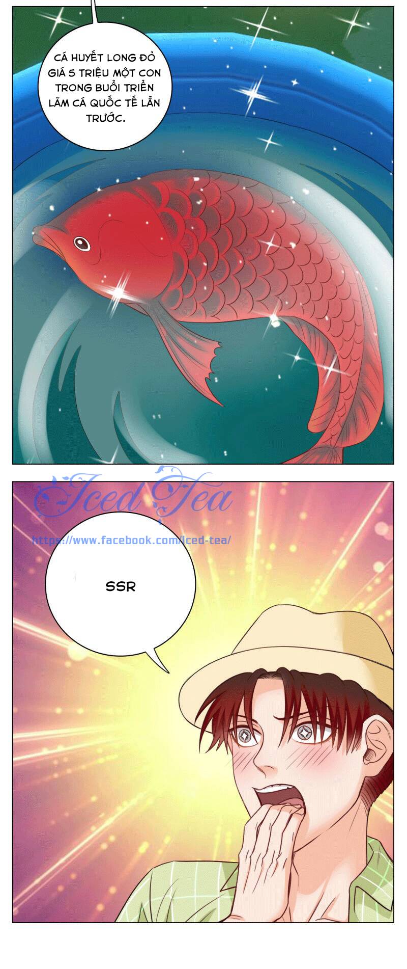 Ký Túc Xá Nam Phòng 303 - Chapter 22
