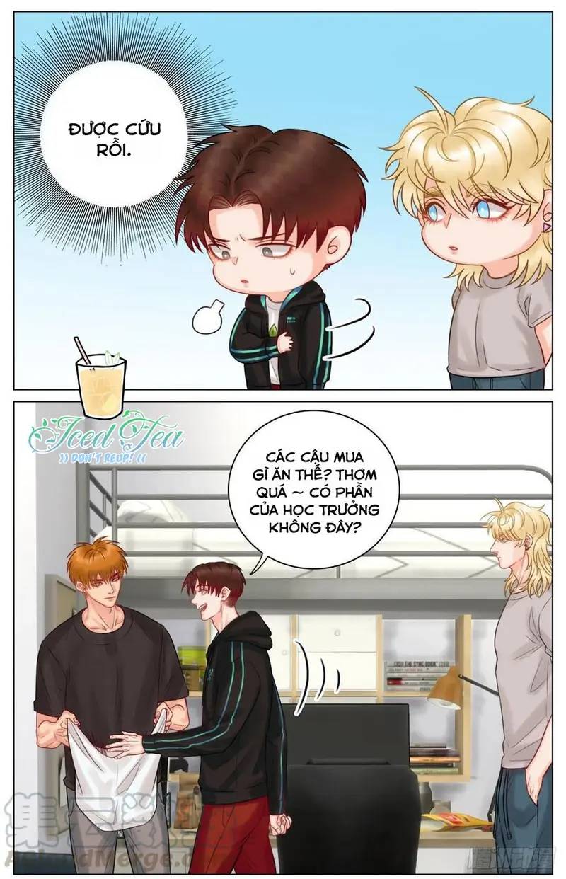 Ký Túc Xá Nam Phòng 303 - Chapter 44