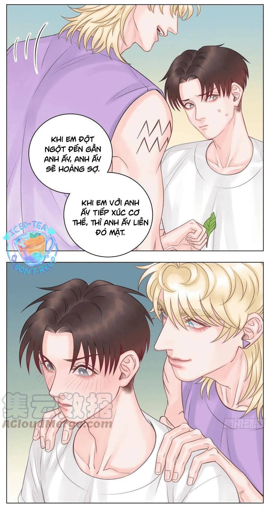 Ký Túc Xá Nam Phòng 303 - Chapter 48