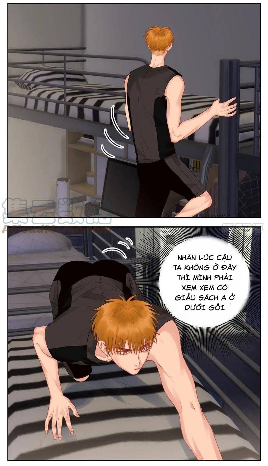Ký Túc Xá Nam Phòng 303 - Chapter 52