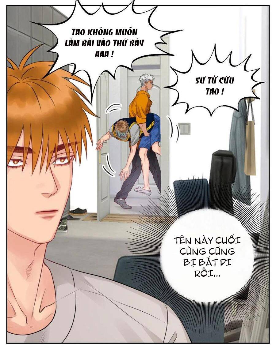 Ký Túc Xá Nam Phòng 303 - Chapter 52